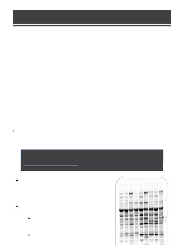 Southern Nothern Blotting | PDF | Southern Blot | Blot (Biology)