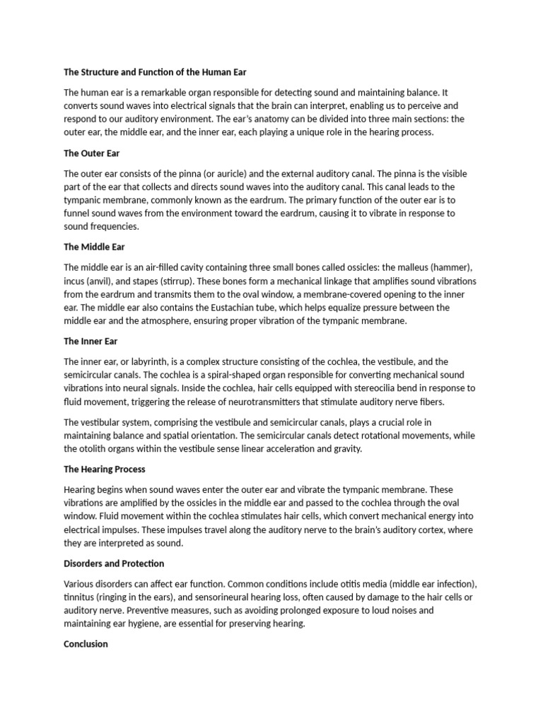 The Structure and Function of The Human Ear | PDF | Ear | Auditory System