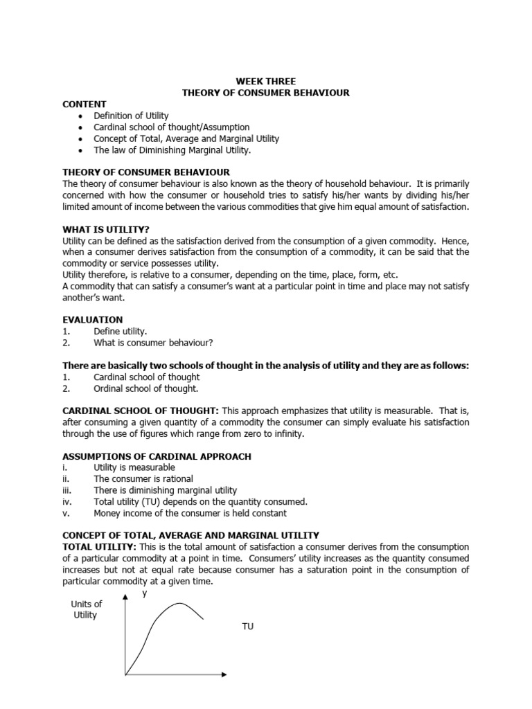 Theory of Consumer Behaviour Explained | PDF | Utility | Marginal Utility