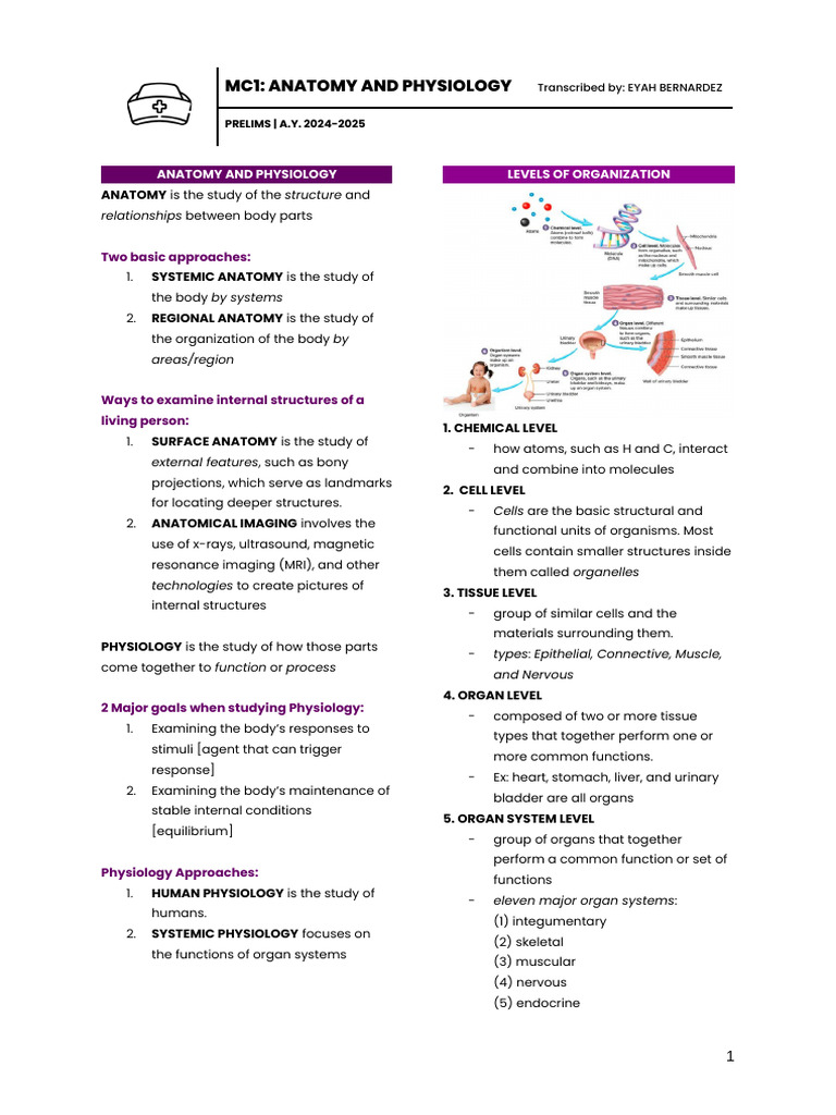 Anatomy and Physiology Overview | PDF | Anatomical Terms Of Location | Rna