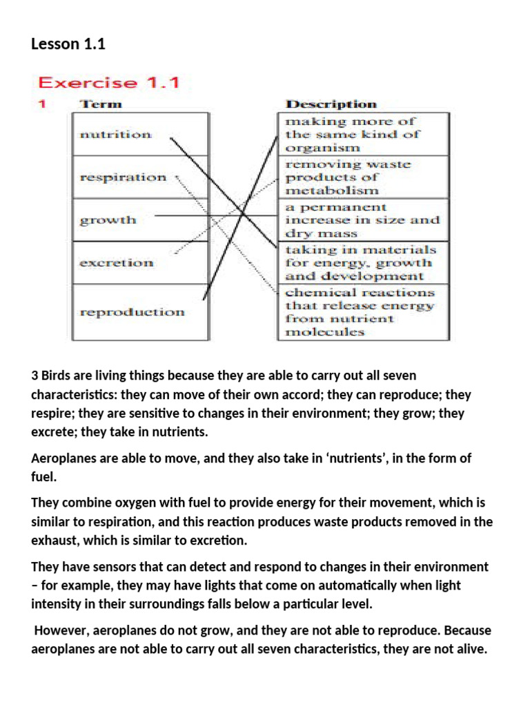 Lesson 1 1 Answer Key Pdf Pdf