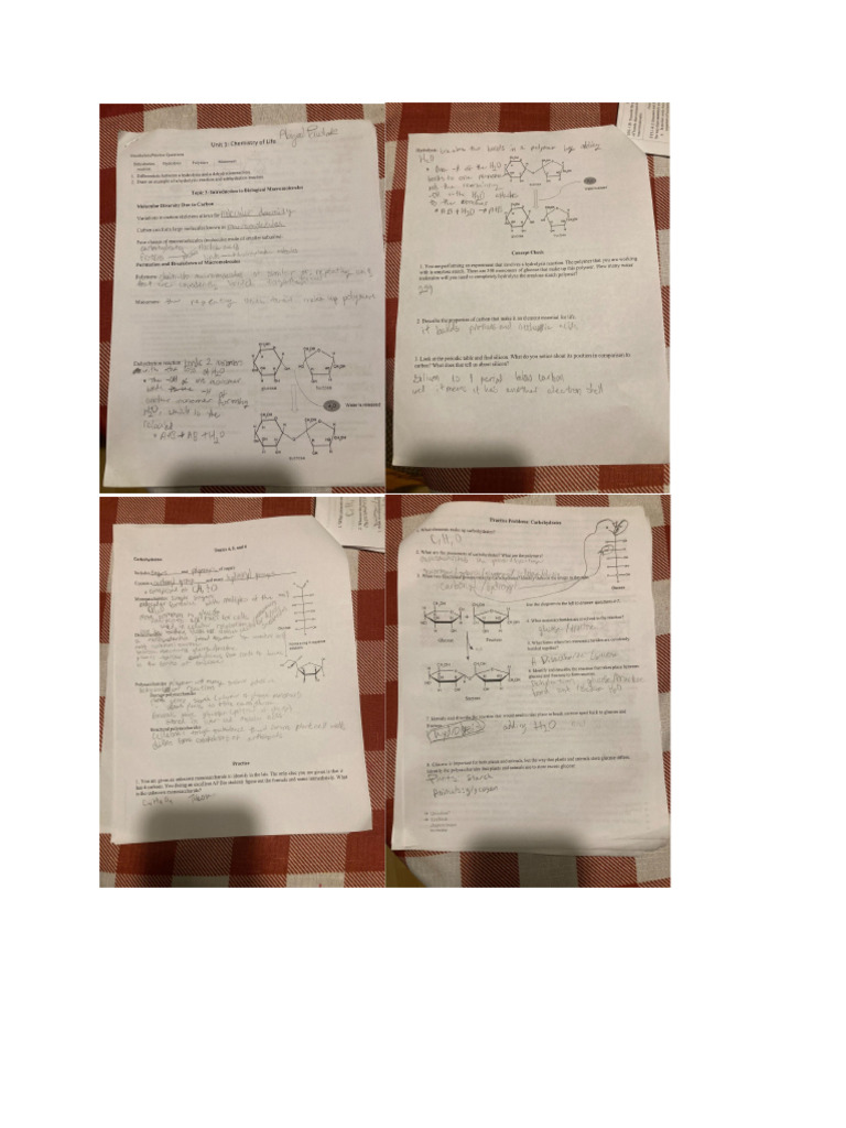 Chapter+5a+Notes+Packet | PDF
