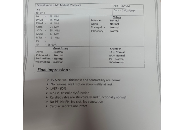 Echo Report | PDF