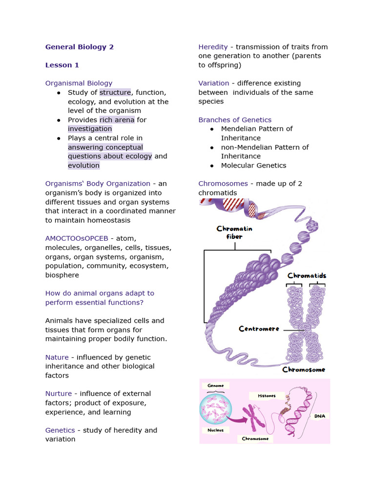 General Biology 2 (Q3) | PDF | Dominance (Genetics) | Dna