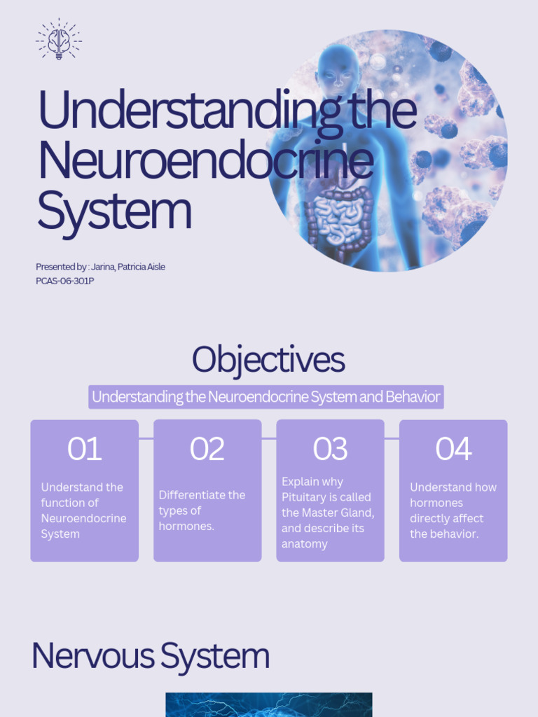 Neuroendocrine System Overview and Functions | PDF | Endocrine System ...