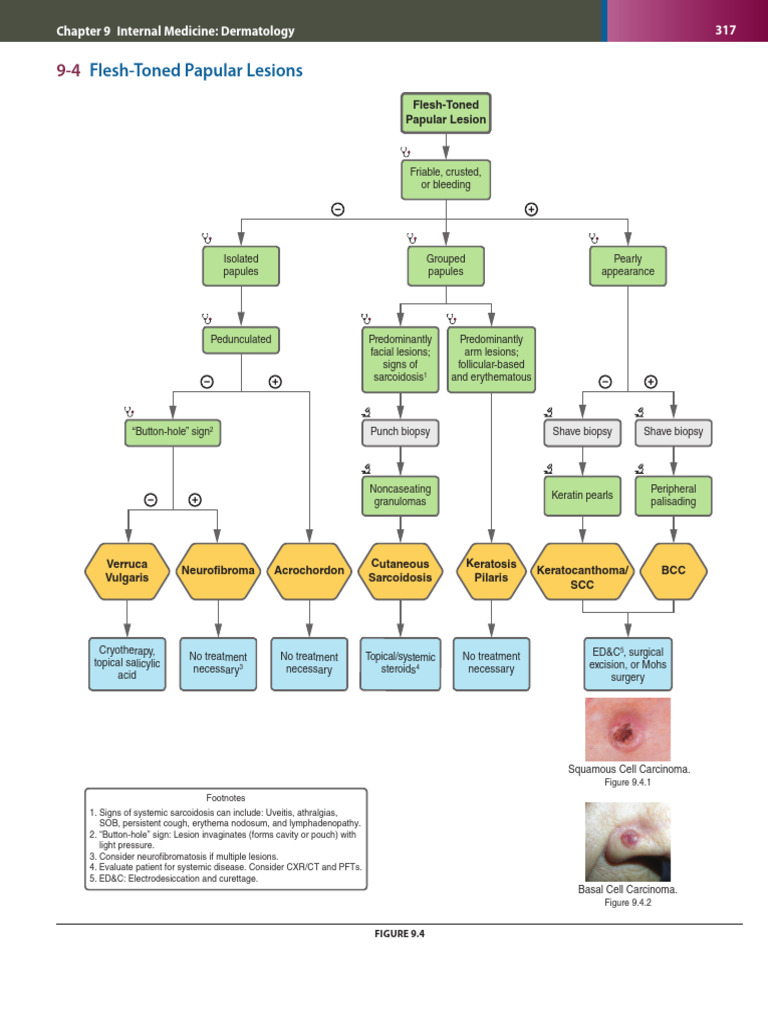 First Aid Clinical Algorithms For The USMLE Step 2 CK - Exported | PDF ...