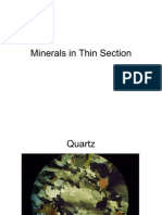 Thin Section