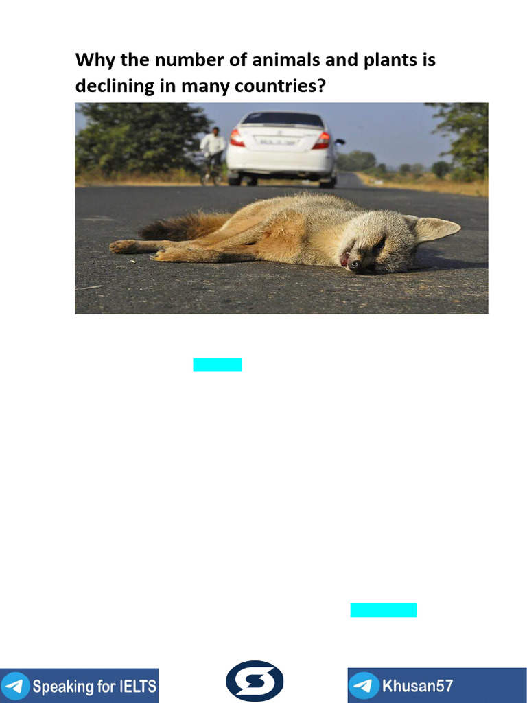 Why The Number of Animals and Plants Is Decli | PDF | Conservation ...