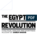 Egyptian Revolution: A Political Analysis and Eyewitness Account by