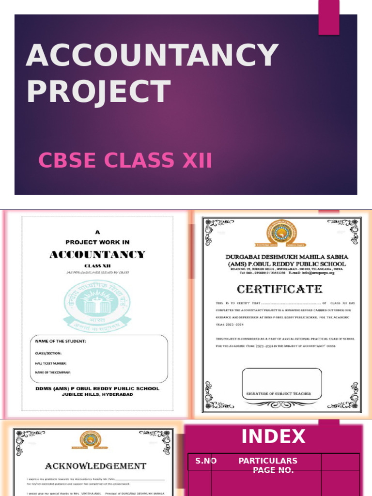 Class XII Accountancy Project | PDF