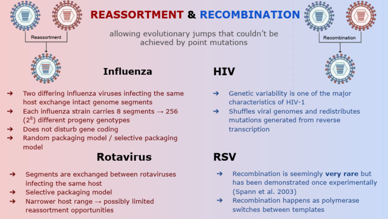 Reassortment vs. Recombination in Viruses | PDF