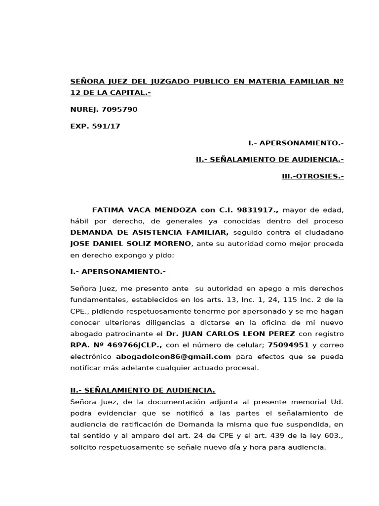 Solicitud De Audiencia Pdf