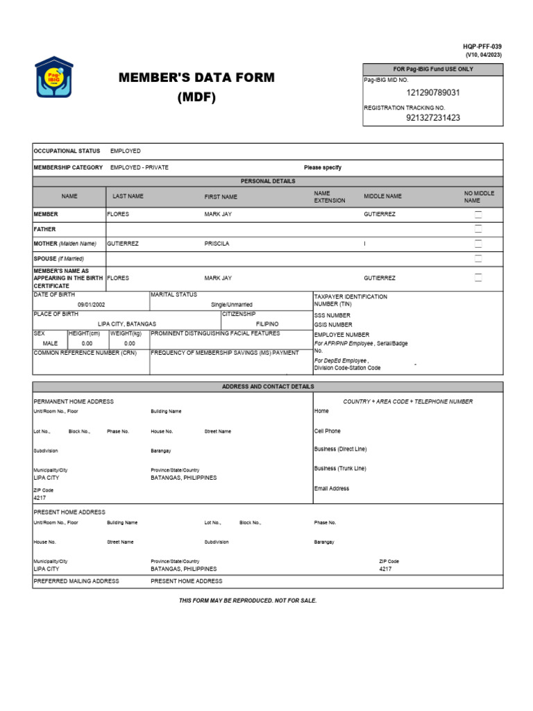 Flores Mark Jay G MDF | PDF | Government