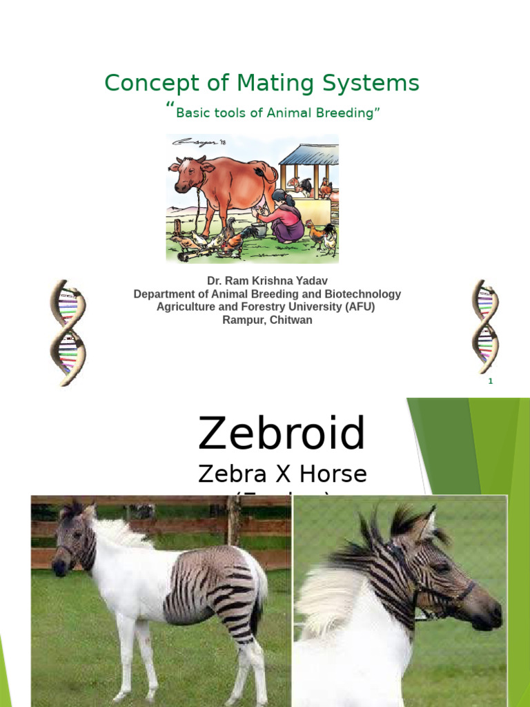 Basic Mating System (Autosaved) | PDF | Inbreeding | Zygosity