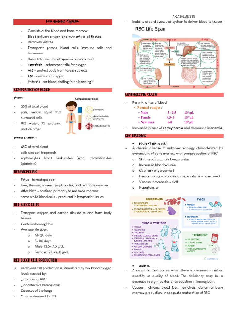 Hematologic System | PDF | White Blood Cell | Granulocyte