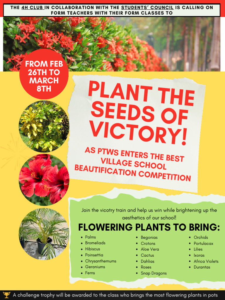 PTWS School Beautification | PDF