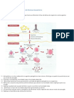 Sistema imunitário e exercícios