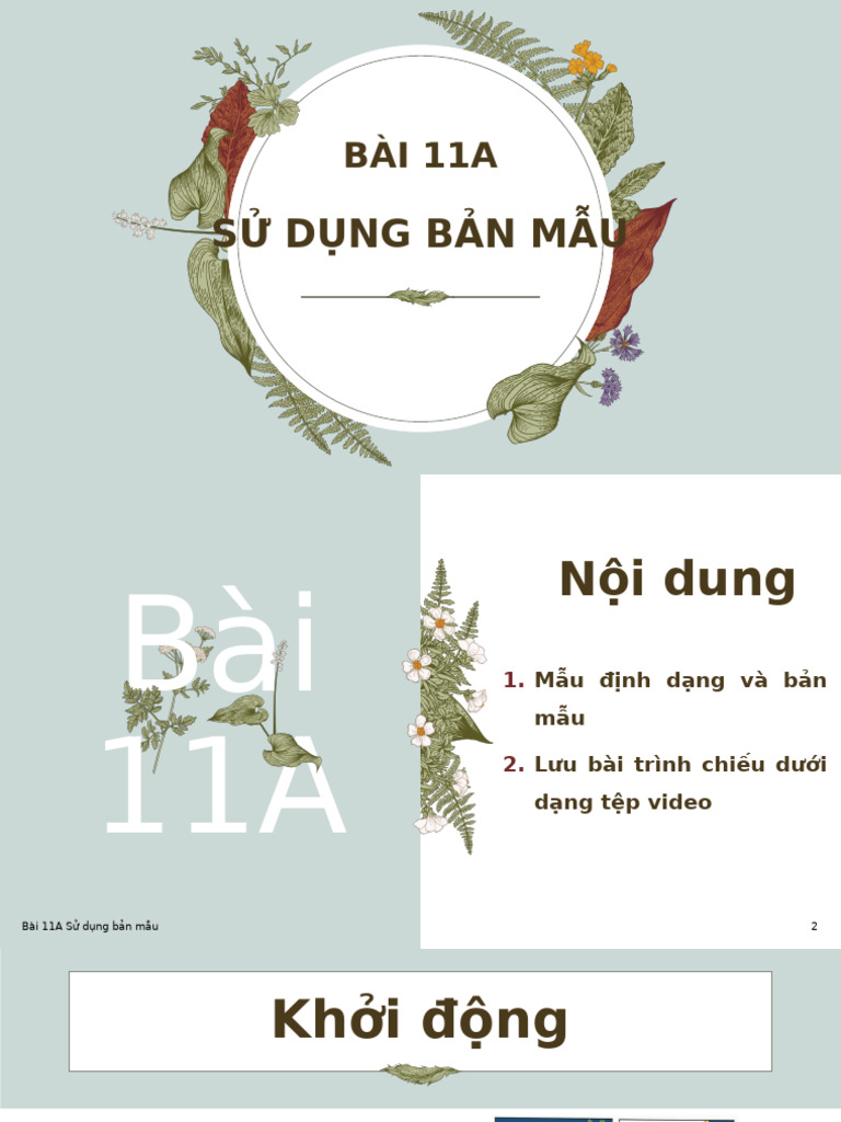 Bai 11A Su Dung Ban Mau | PDF
