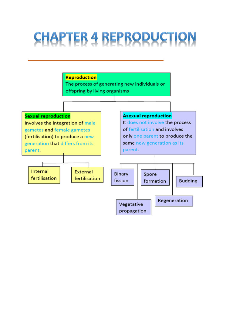 Reproduction: Sexual and Asexual Processes | PDF | Seed | Menstrual Cycle