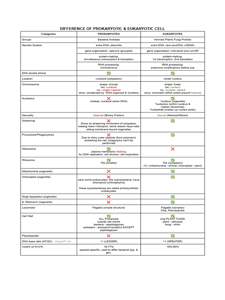 Prokaryotes Vs Eukaryotes | PDF | Cell (Biology) | Prokaryote