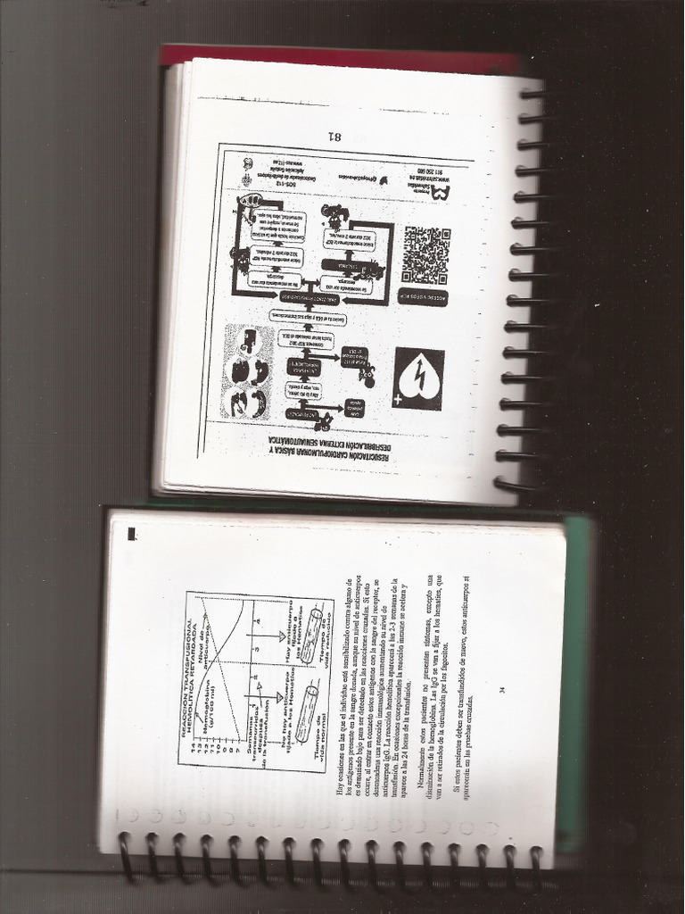 83 | PDF