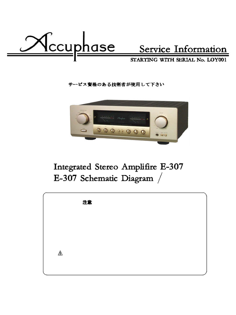 Accuphase E-203 E-204 Speaker Relay – Replacement Relay By PAP Audio Parts (2287, 4255801522428)