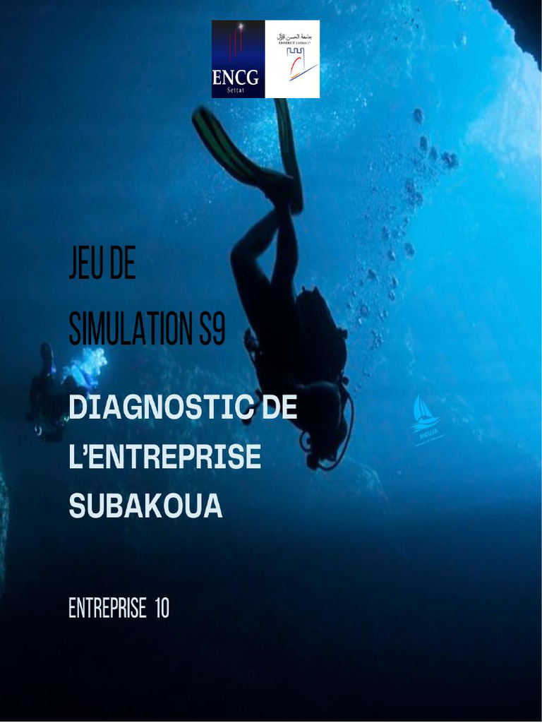 Diagnostic de l'entreprise Mouja | PDF | Business | Sodles