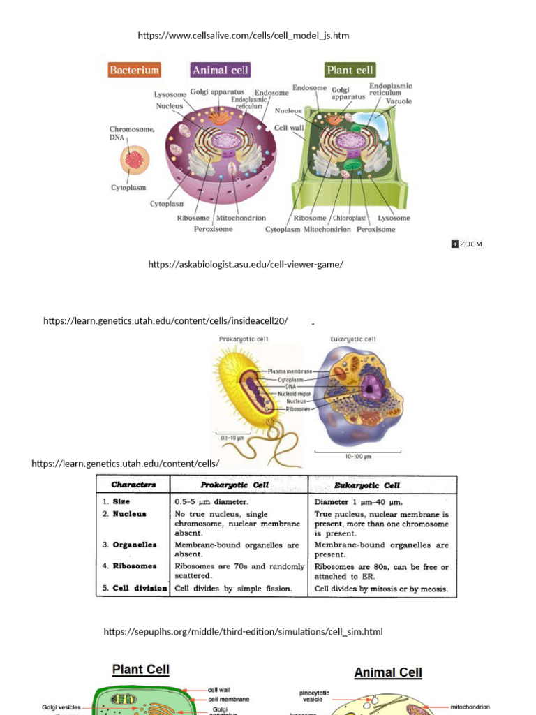 Interactive Cell Exploration Resources | PDF