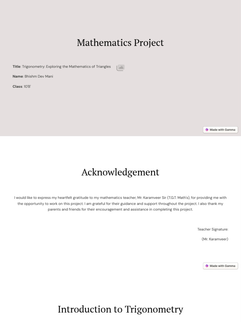 Mathematics Project | PDF | Trigonometric Functions | Trigonometry
