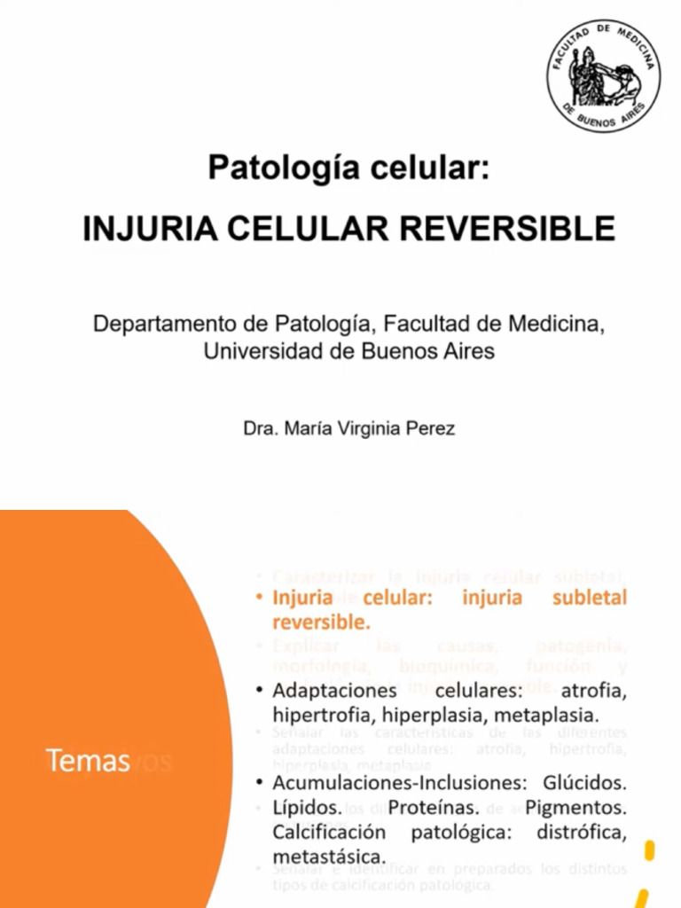 1. Injuria Celular Reversible | PDF