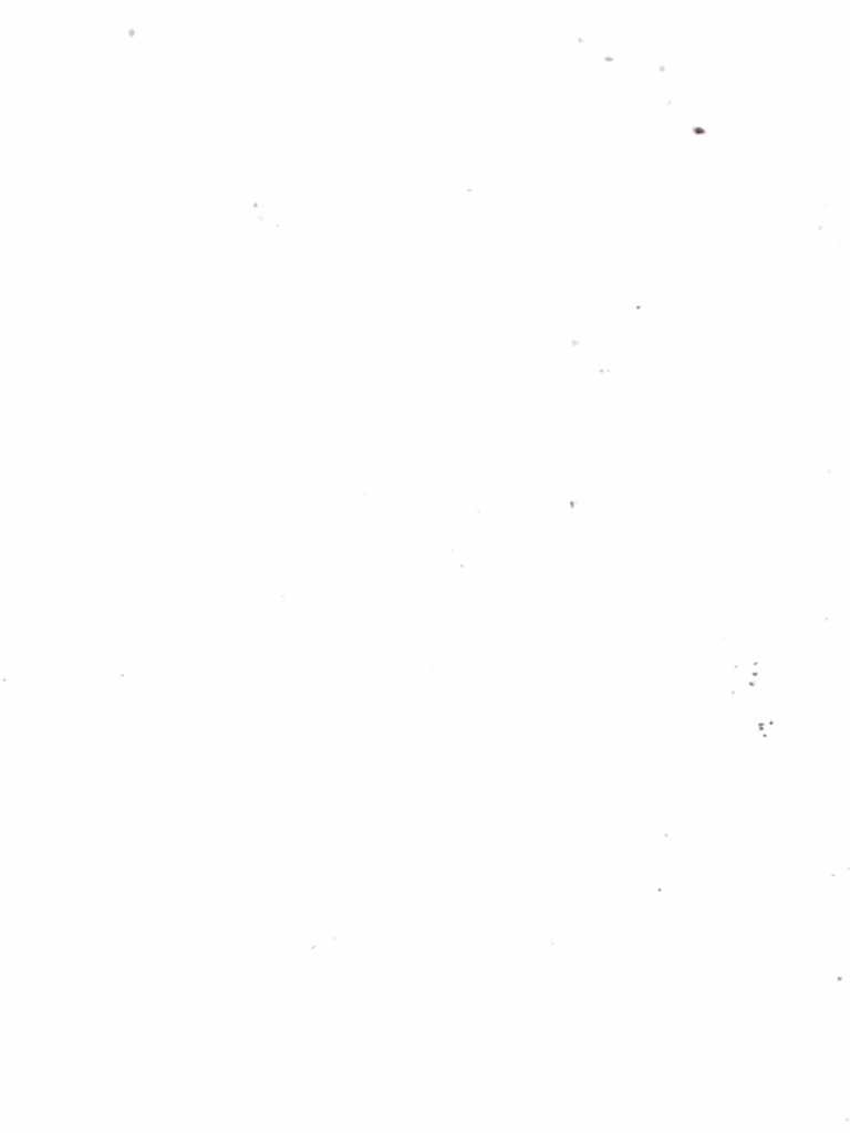 Sew | PDF