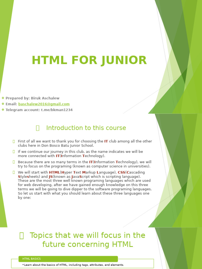 HTML Basics for Junior Developers | PDF