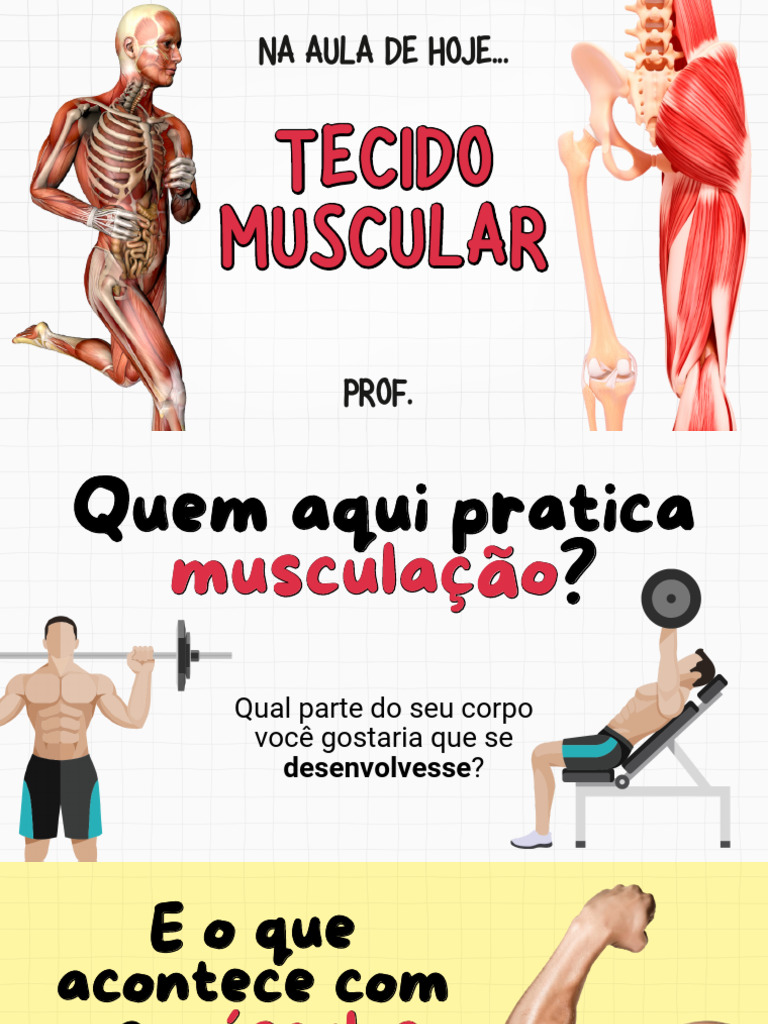 Tecido Muscular: Tipos e Funções | PDF | Músculo | Anatomia