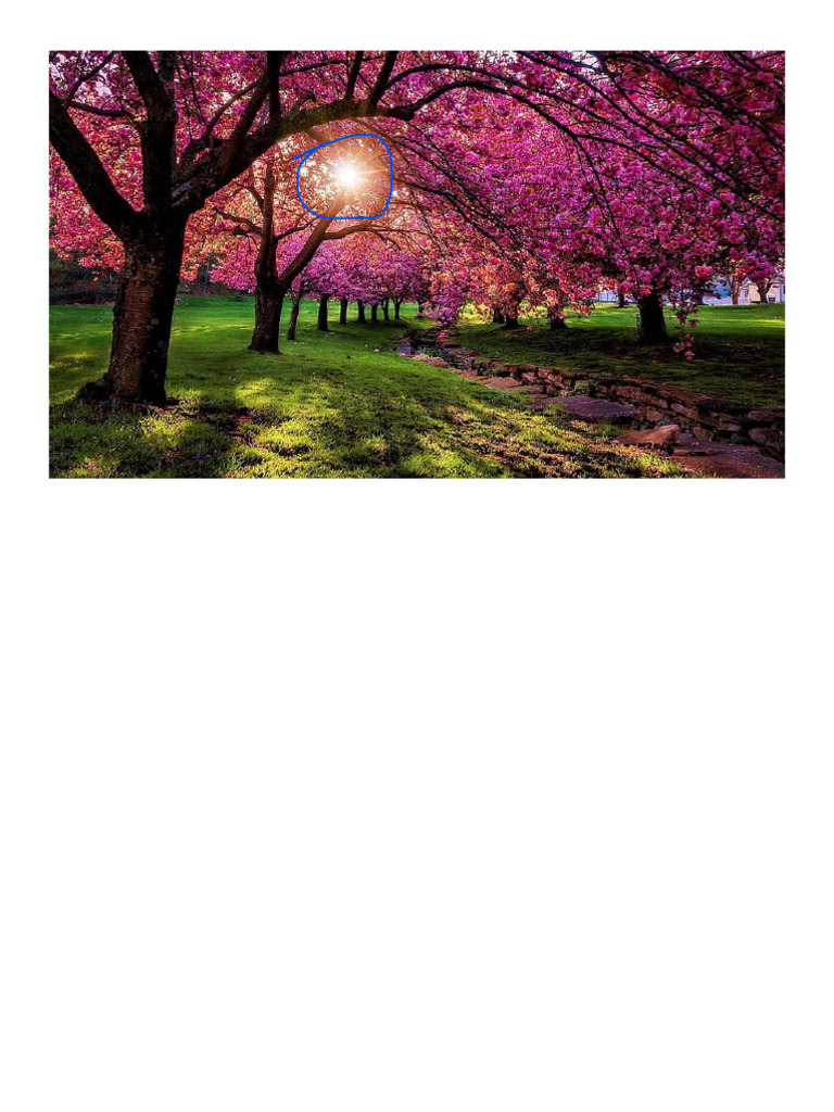 Guia Completo Sobre árvores Pdf