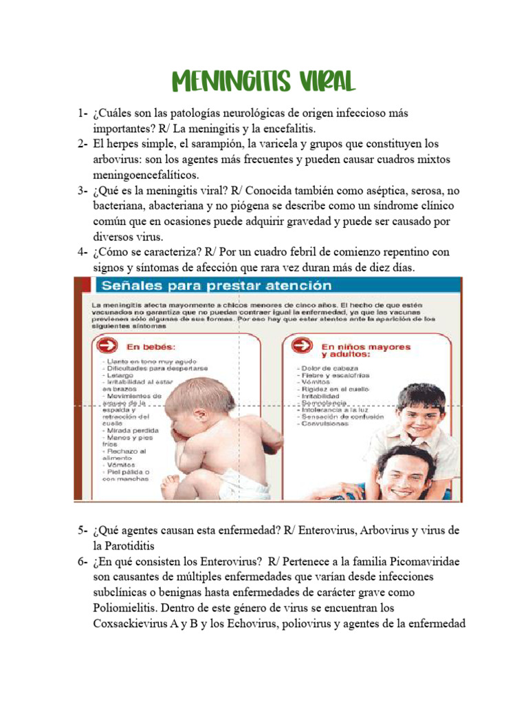 Meningitis Viral: Causas y Síntomas | PDF | Meningitis | Causas de la ...