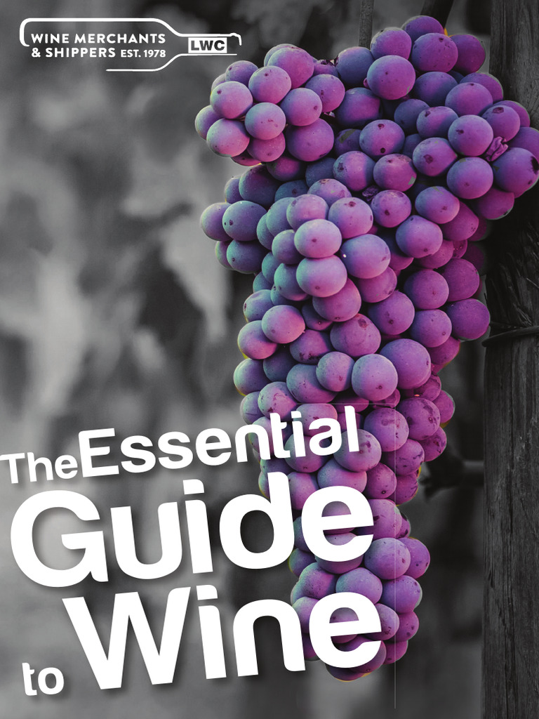 Essential Wine Guide for Beginners | PDF | Fermentation In Winemaking ...