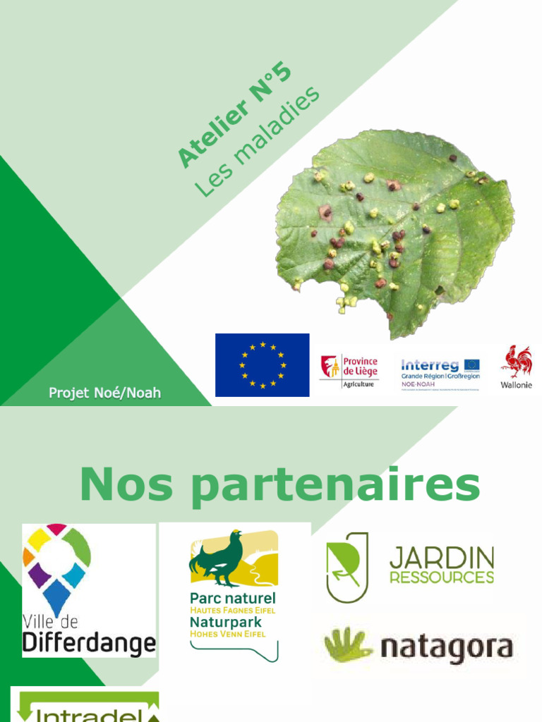 Maladies des plantes et pratiques culturales | PDF | Feuille | Rotation ...