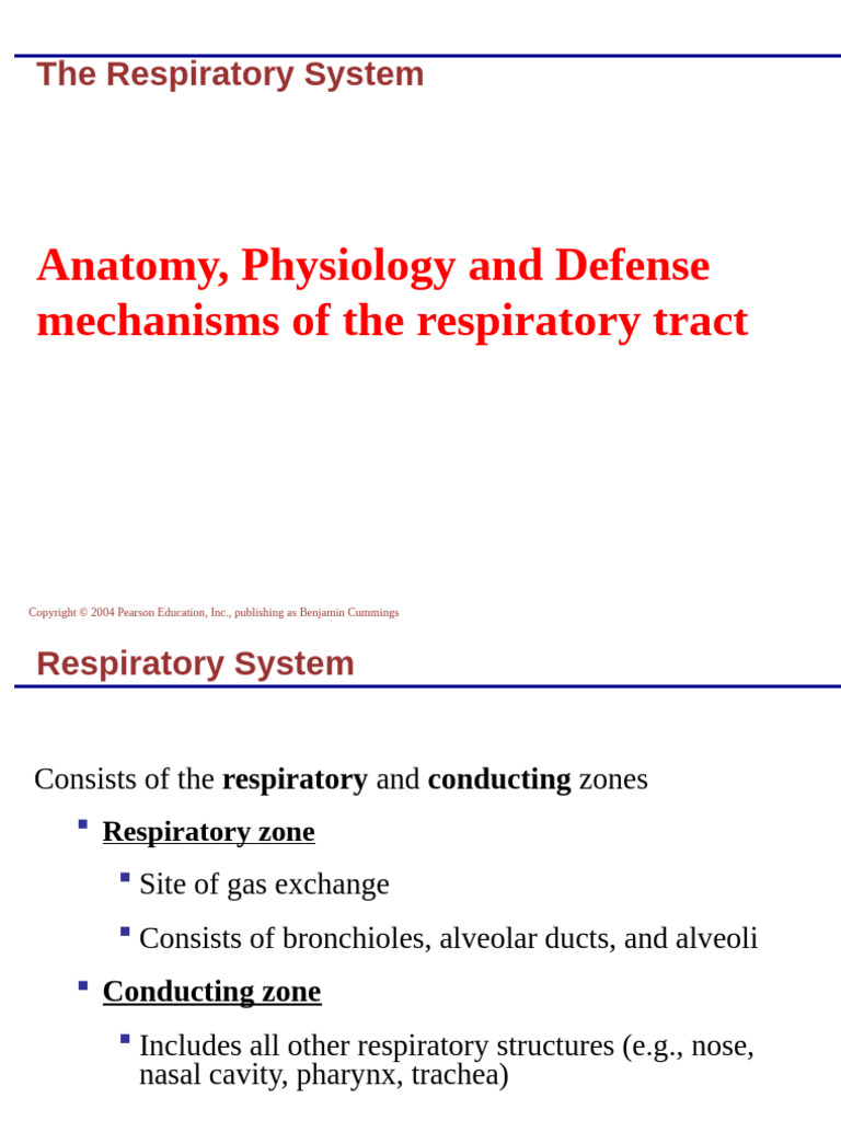 Respiratory system visual data 6