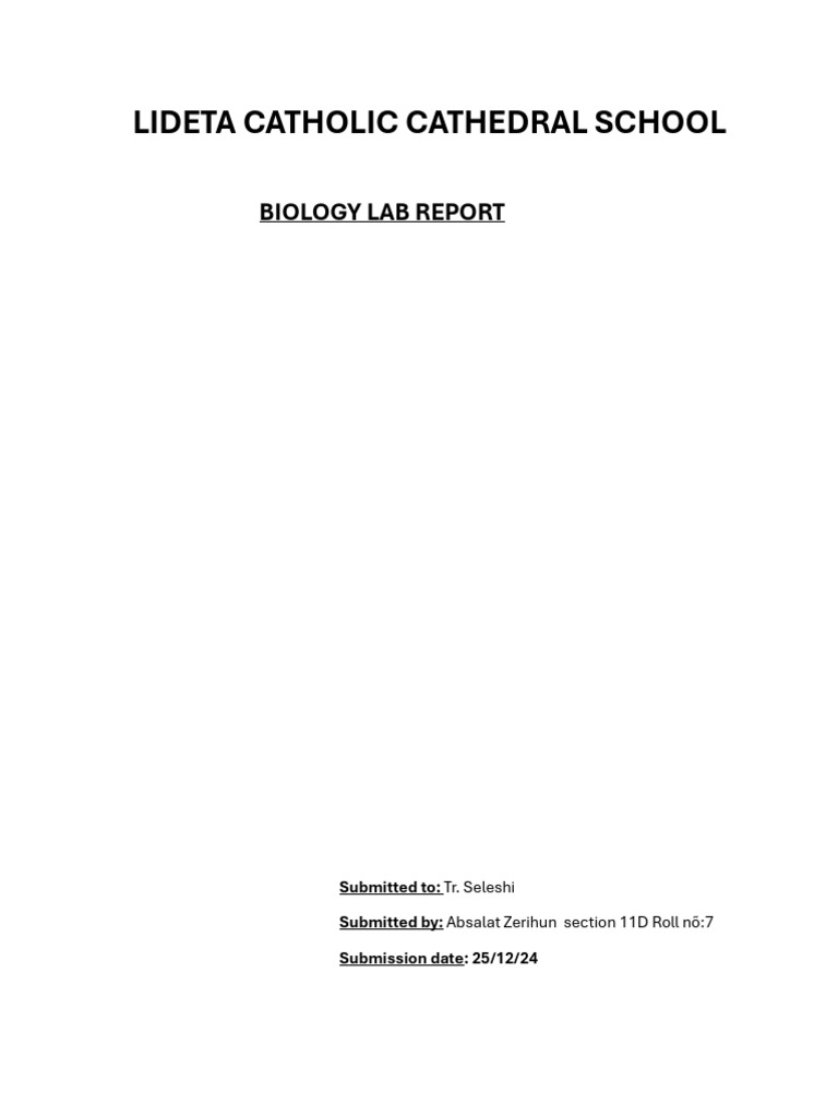 Amylase's Role in Starch Breakdown | PDF