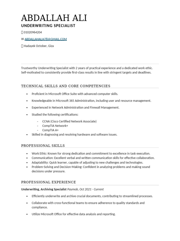 Abdallah Ali Cv | PDF