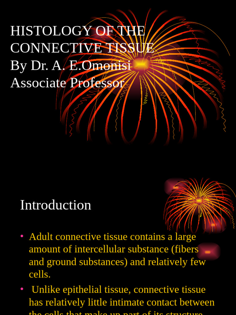 Connective Tissue Pdf Bone Connective Tissue