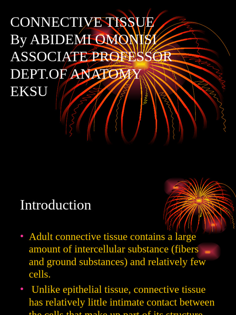 Overview of Connective Tissue Types | PDF | Bone | Connective Tissue