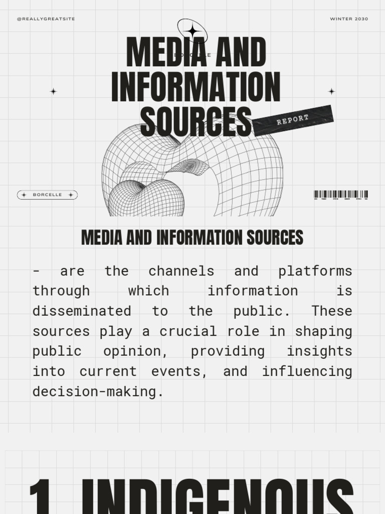 Media Sources Report Presentation - 20250120 - 060049 - 0000 | PDF ...