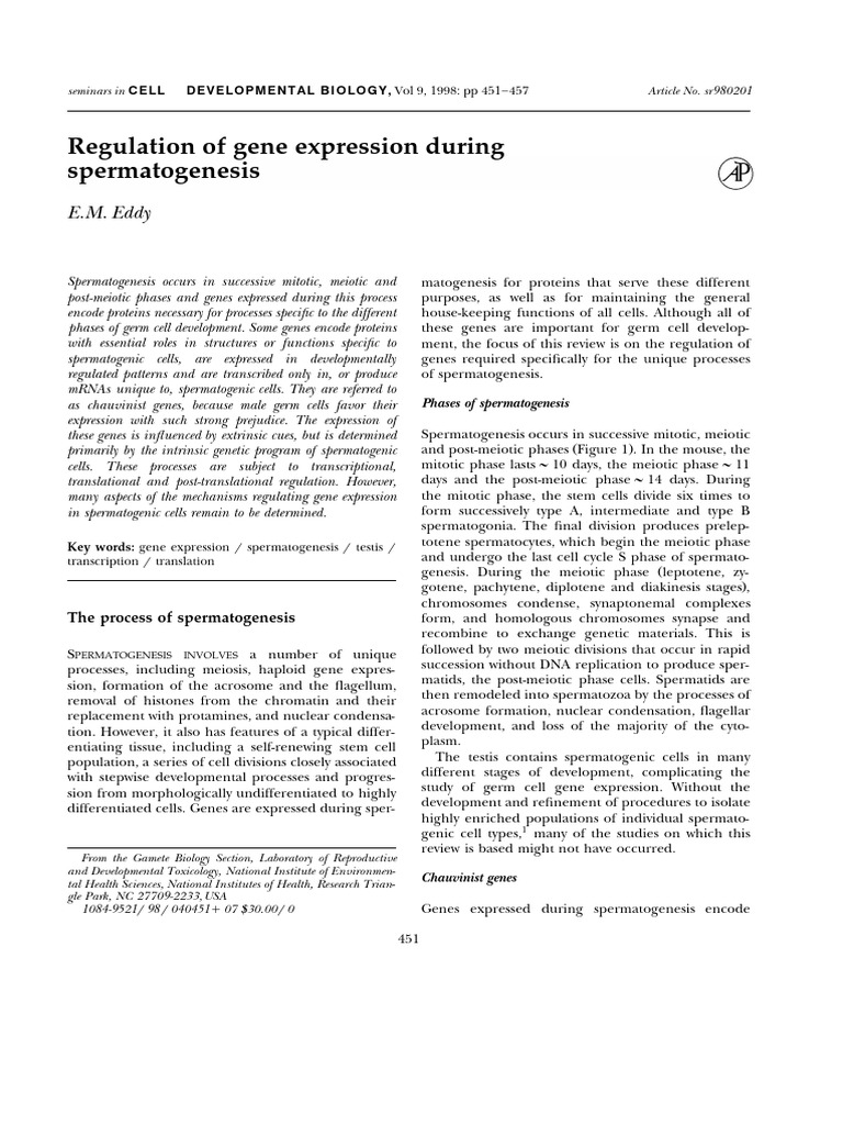 Gene Expression in Spermatogenesis | PDF | Meiosis | Gene