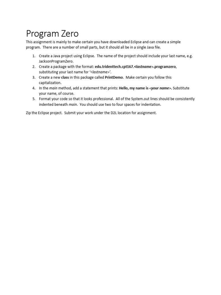 Java Program Zero Assignment Guide | PDF