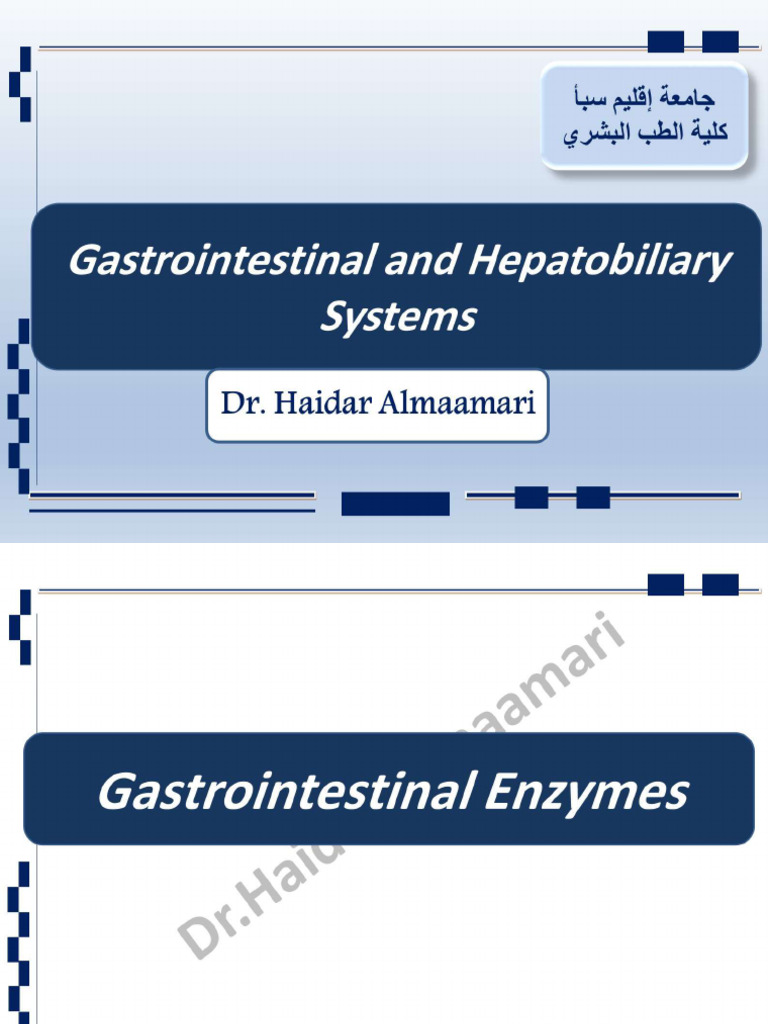Gastrointestinal Enzymes - ٠٧١٥٢٠ | PDF
