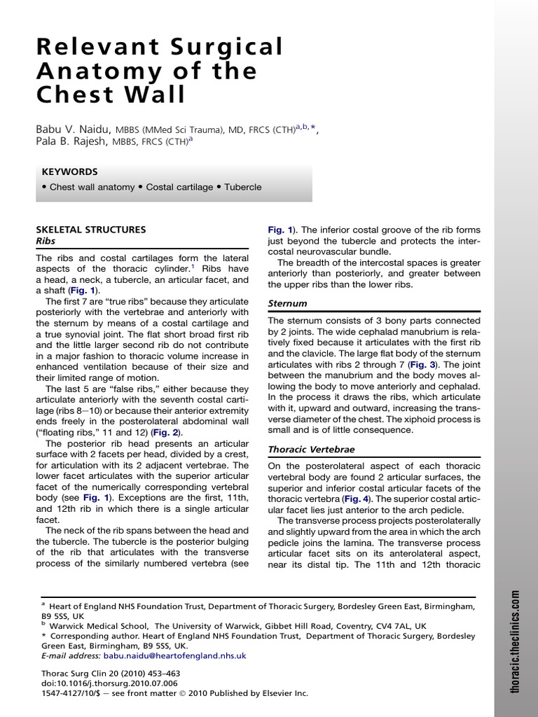 Chest Wall Surgical Anatomy Overview | PDF | Vertebra | Thorax
