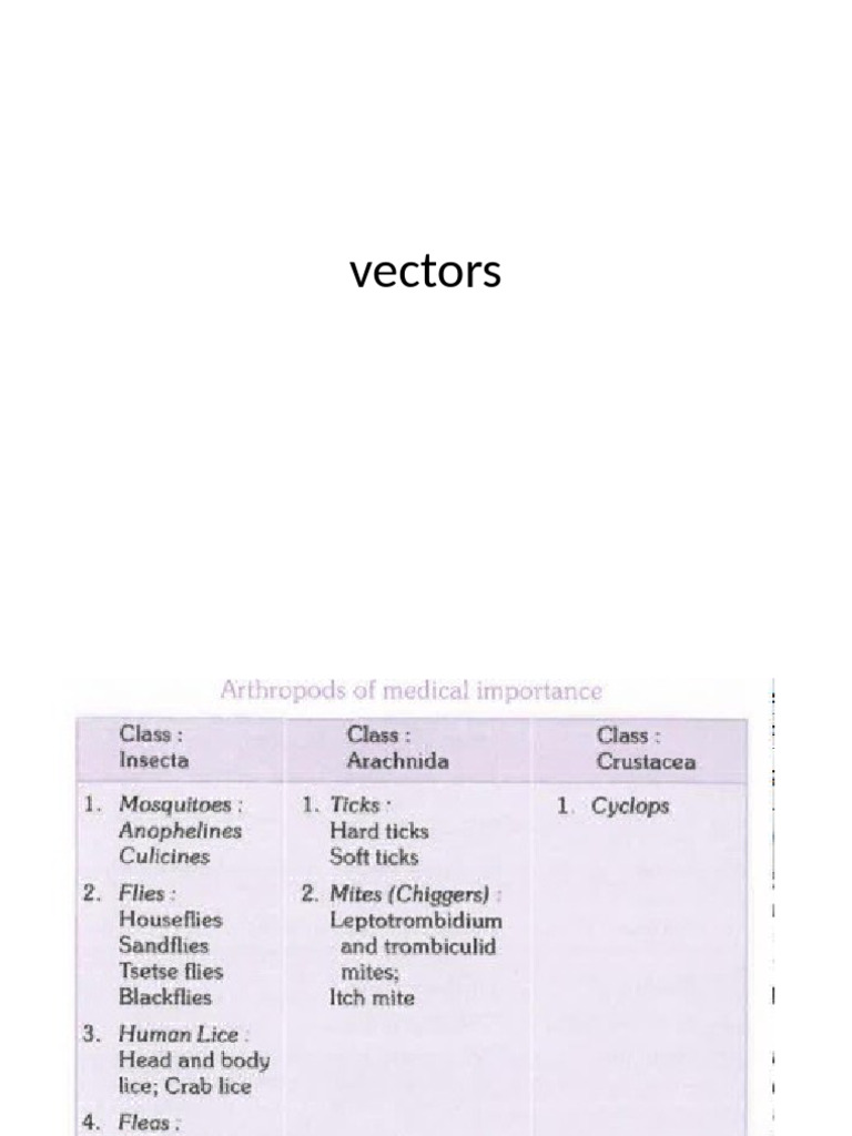 Mosquito Identification and Control Guide | PDF | Mosquito | Insects ...