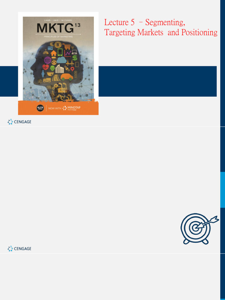 Market Segmentation and Targeting Guide | PDF | Market Segmentation ...