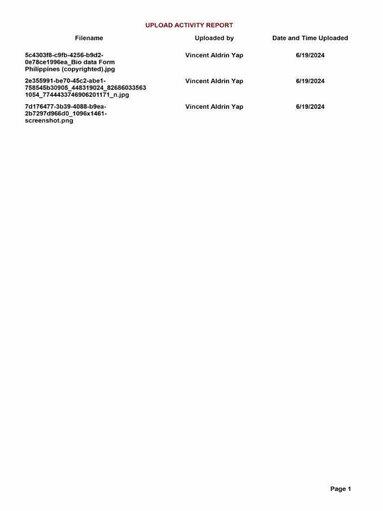 Activitylog Report | PDF